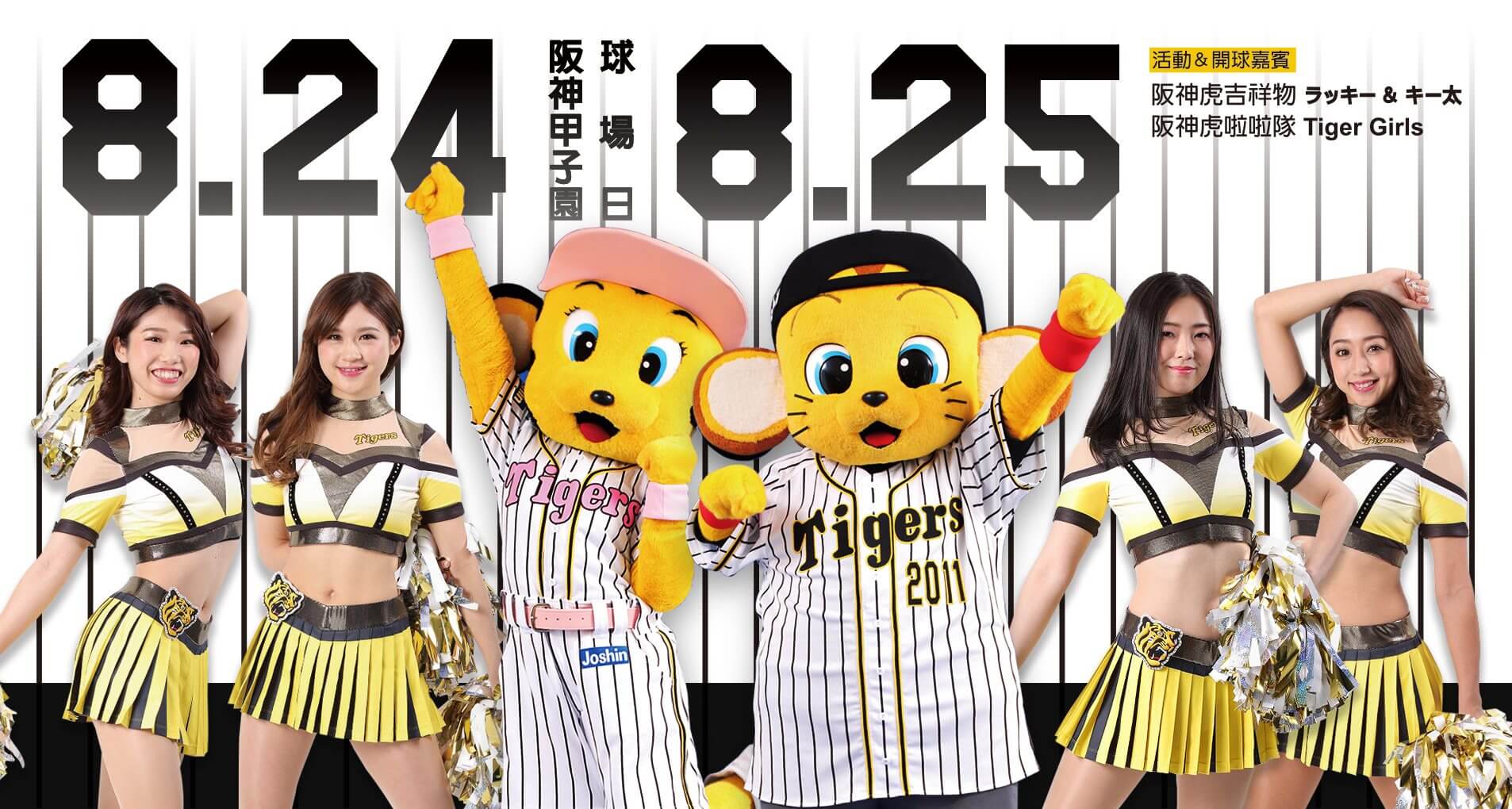 Big Enthusiasm 阪神タイガースThe Hanshin Tigers 360