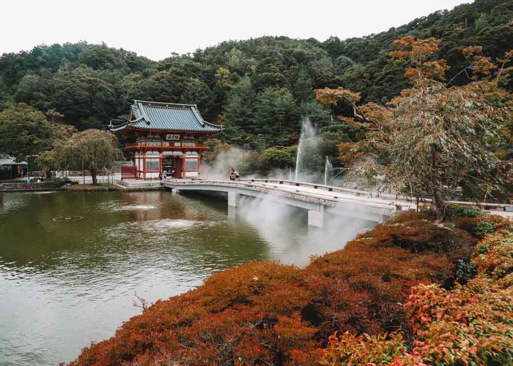 The Treetop Temple Protects Kyoto  Nature desktop, Nature desktop